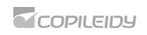 COPILEIDY